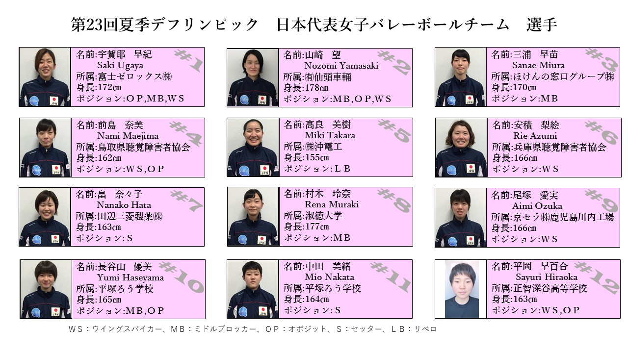 活動歴および当時の関連ビジュアル記録